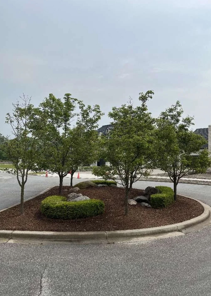 Neatly landscaped residential island with decorative rocks, manicured shrubs, and fresh dark mulch. Quality Turf.