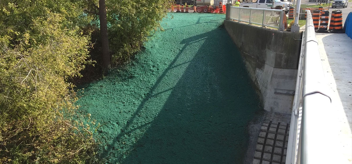 Steep embankment covered in green hydroseed for erosion control near a bridge overpass. Quality Turf.