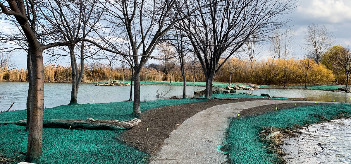 Professional hydroseeding application to restore the waterfront greenery at Belle River Marina.