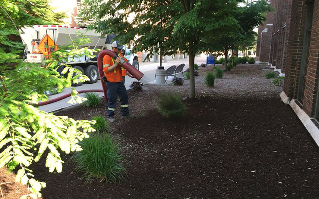 Commercial landscaping installation showing a Quality Turf crew member using a blower truck hose to apply a consistent layer of dark mulch to garden beds next to a brick building.