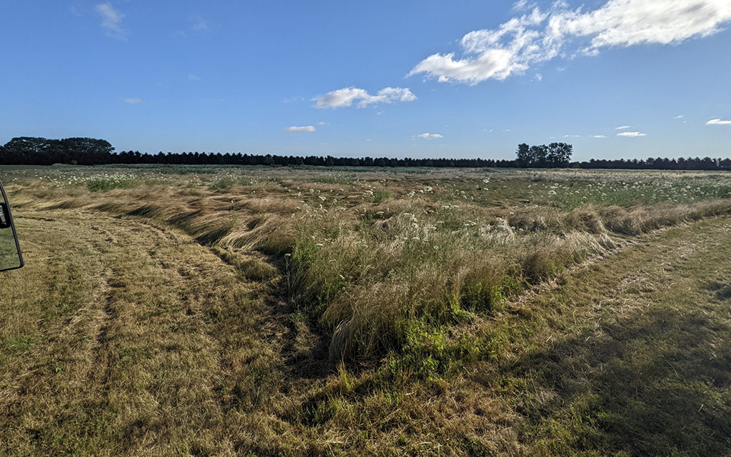 Wide view of a rural field undergoing seasonal property maintenance and late-season brush cutting.