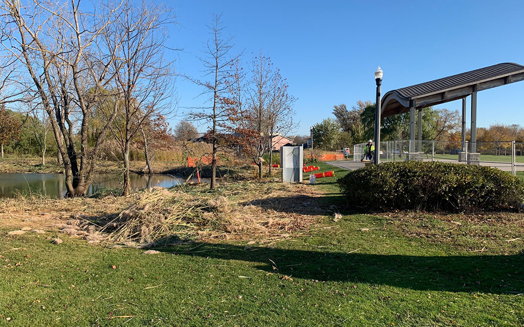 Commercial park grounds showing seasonal yard cleanup, pruned shrubs, and leaf piles near a pond.