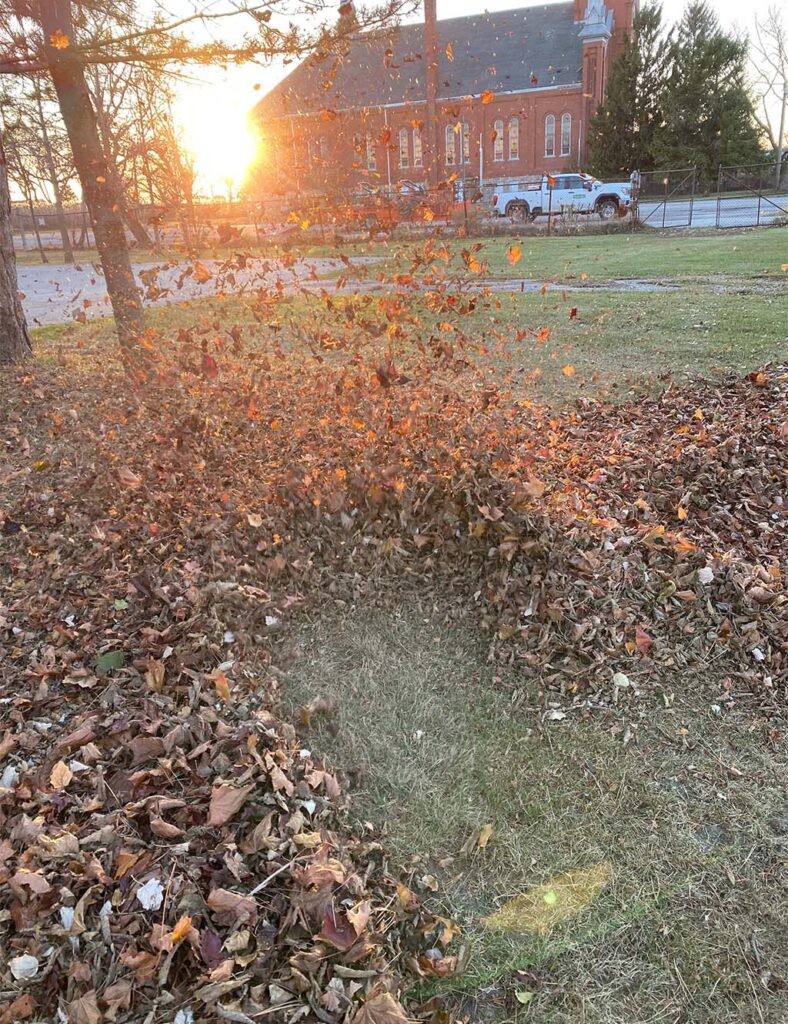 Landscaping crew member using a leaf blower to clear autumn leaves from a lawn during fall clean-up.