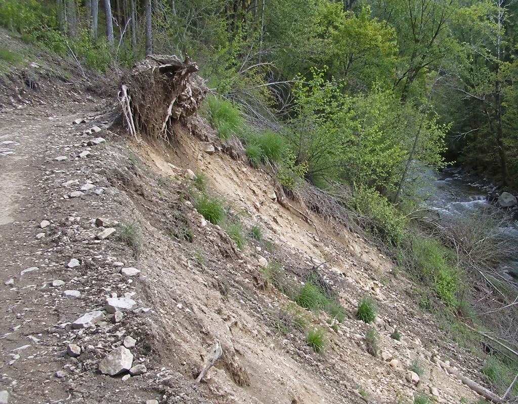Severe soil erosion along a dirt path on a steep forested hill leading down to a river.